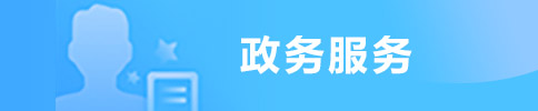 政務服務